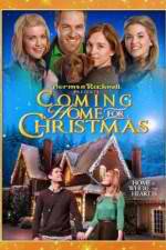 Watch Coming Home for Christmas 9Movies