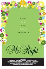 Watch Mr Right 9Movies