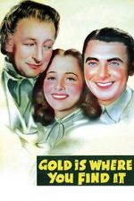 Watch Gold Is Where You Find It 9Movies
