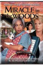 Watch Miracle in the Woods 9Movies