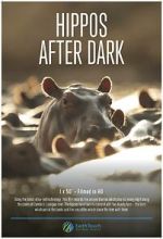 Watch Hippos After Dark 9Movies