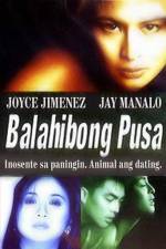 Watch Cat Hairs 9Movies