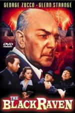 Watch The Black Raven 9Movies