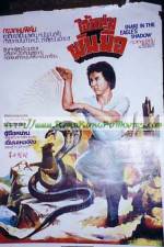 Watch Snake in the Eagle's Shadow II 9Movies