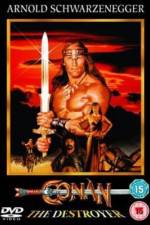 Watch Conan the Destroyer 9Movies