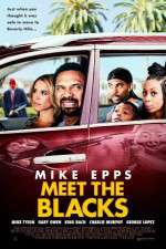 Watch Meet the Blacks 9Movies