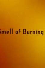 Watch The Smell of Burning Ants 9Movies