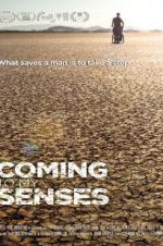 Watch Coming to My Senses 9Movies