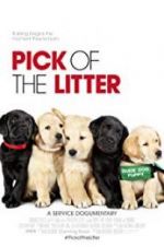 Watch Pick of the Litter 9Movies