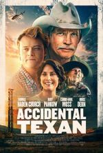 Watch Accidental Texan 9Movies