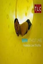 Watch Born Without Limbs 9Movies