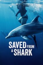 Watch Saved from a Shark 9Movies