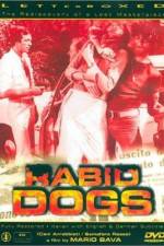 Watch Cani arrabbiati 9Movies