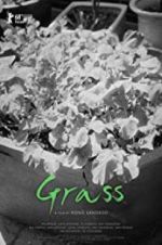 Watch Grass 9Movies