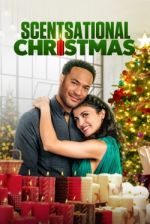 Watch A Candlelit Christmas 9Movies