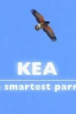 Watch Kea - The Smartest Parrot 9Movies