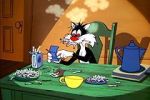 Watch The Last Hungry Cat 9Movies