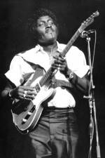 Watch Albert Collins in Concert 9Movies