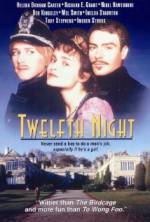 Watch Twelfth Night or What You Will 9Movies