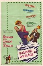 Watch Surprise Package 9Movies
