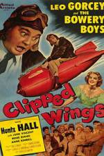 Watch Clipped Wings 9Movies