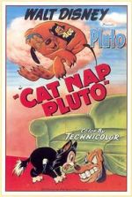 Watch Cat Nap Pluto 9Movies