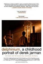 Watch Delphinium: A Childhood Portrait of Derek Jarman 9Movies