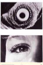 Watch The Searching Eye 9Movies