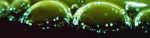 Watch Zea (Short 1981) 9Movies