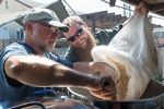 Watch Brewmance 9Movies