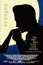 Watch You Will Meet a Tall Dark Stranger 9Movies