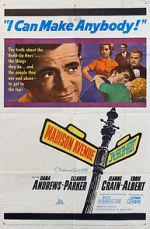 Watch Madison Avenue 9Movies