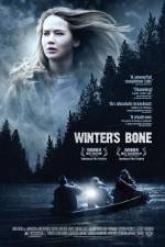 Watch Winter's Bone 9Movies