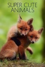 Watch Super Cute Animals 9Movies