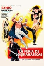 Watch The Fury of the Karate Experts 9Movies