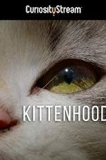 Watch Kittenhood 9Movies