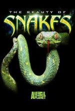 Watch Beauty of Snakes 9Movies