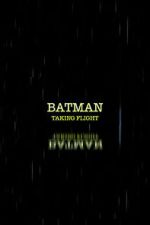 Watch Batman: Taking Flight 9Movies