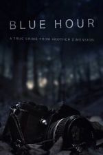 Watch Blue Hour: The Disappearance of Nick Brandreth 9Movies