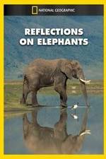 Watch Reflections on Elephants 9Movies