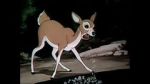 Watch Wacky Wildlife (Short 1940) 9Movies