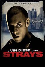 Watch Strays 9Movies