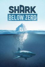 Watch Shark Below Zero 9Movies
