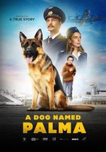 Watch Palma 9Movies