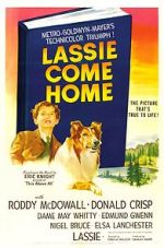 Watch Lassie Come Home 9Movies