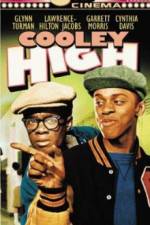 Watch Cooley High 9Movies