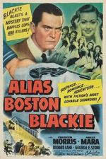 Watch Alias Boston Blackie 9Movies
