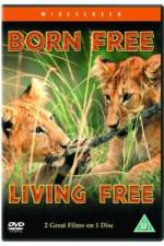 Watch Living Free 9Movies