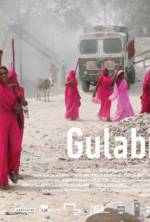 Watch Gulabi Gang 9Movies