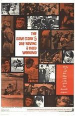 Watch Having a Wild Weekend 9Movies